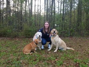 Professional Dog Trainers in Atlanta - Learn About Us