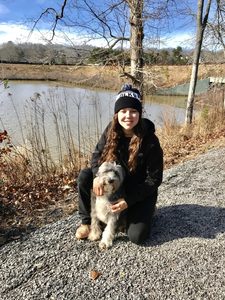 Dog Training Atlanta