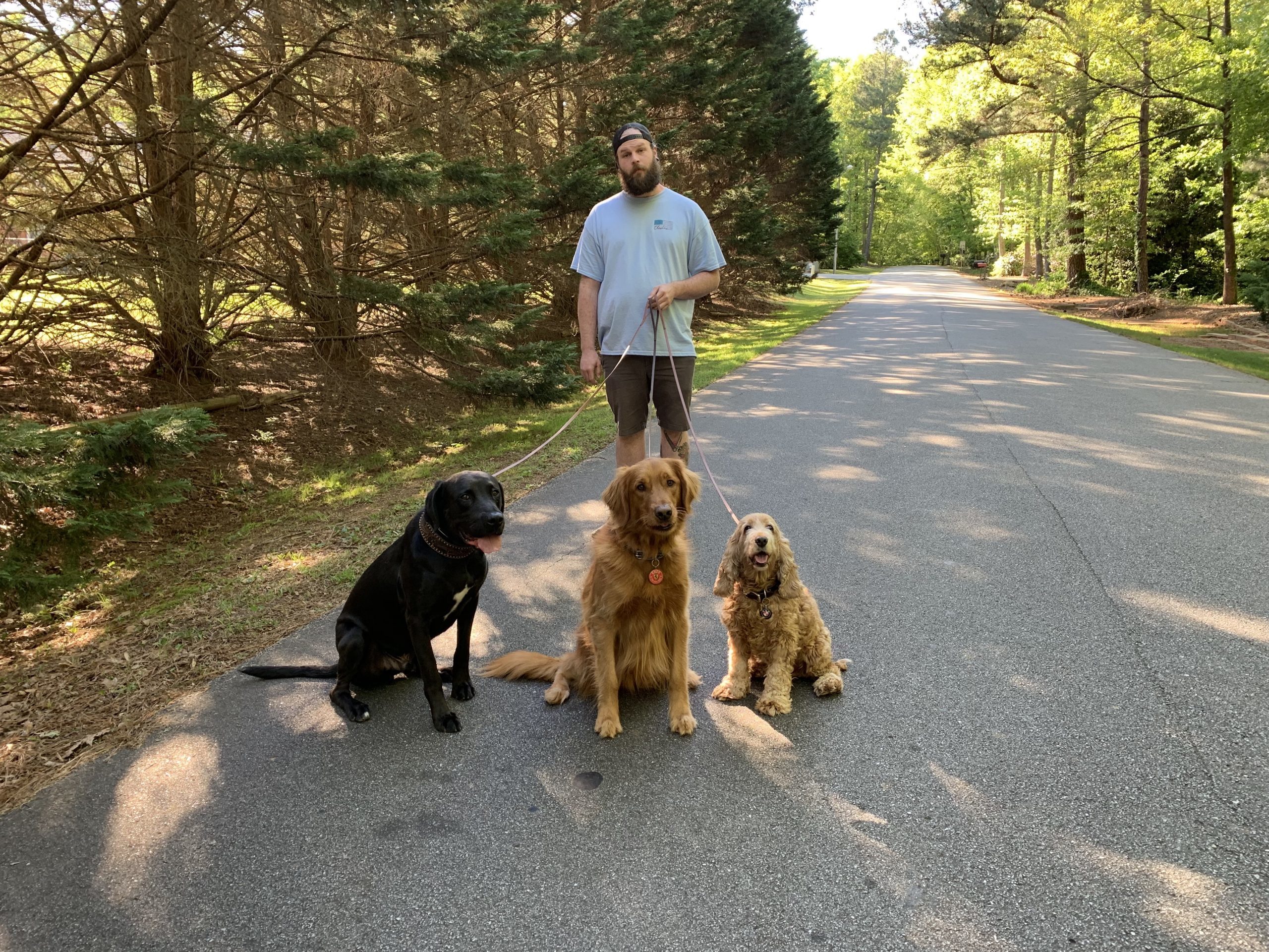 Meet the Team: Committed Dog Trainers in Atlanta