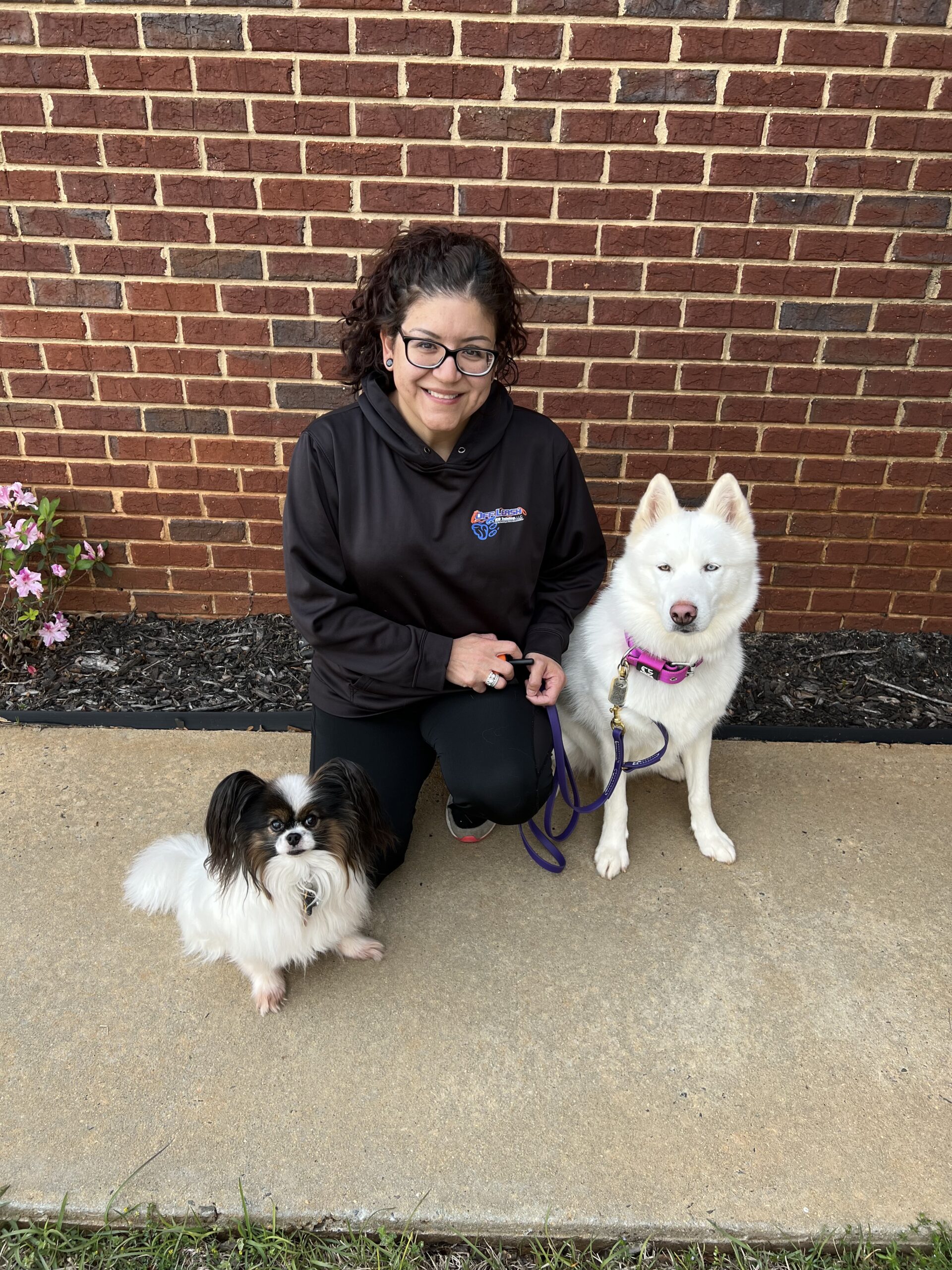 Dog Trainer