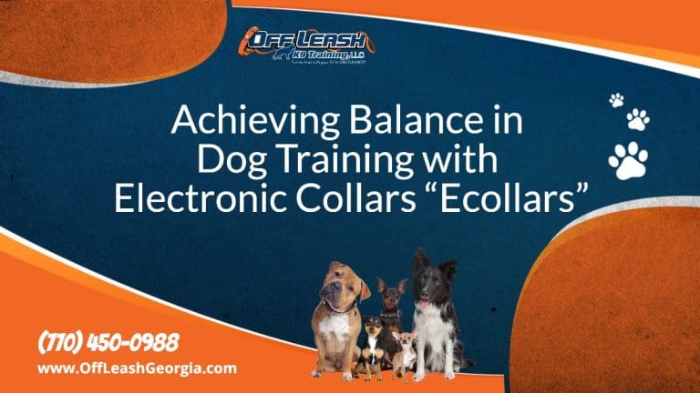 Achieving Balance in Dog Training with Electronic Collars “Ecollars”