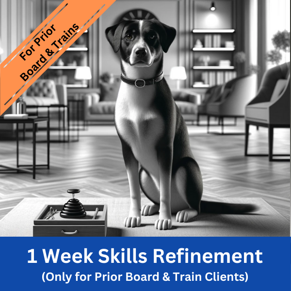 1 Week Skills Refinement Program