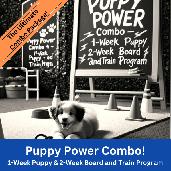 Puppy Power Combo - $400 OFF (Limited Time!)